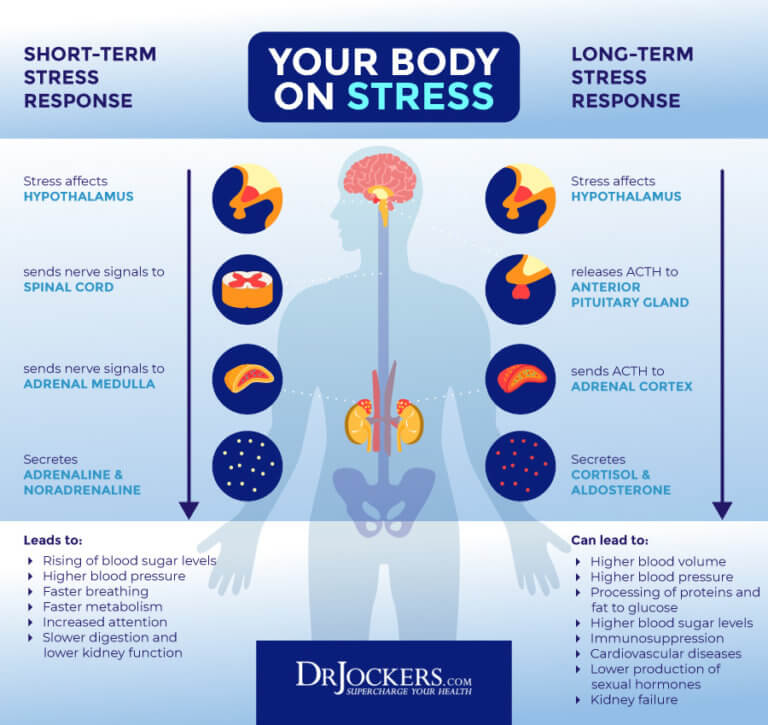 Stress Resilience: 12 Strategies to Grow Stronger Through Stress