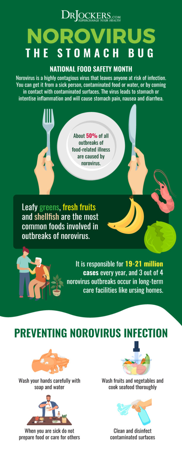 Food Poisoning: Causes, Symptoms & Support Strategies - DrJockers.com