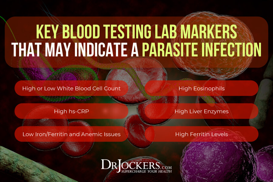 Parasite infections, Parasite Infections: Functional Lab Analysis To Identify Parasites