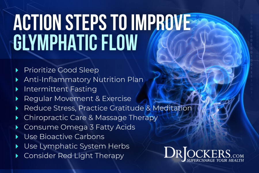 glymphatic system, Glymphatic System: Critical for Brain and Immune Health