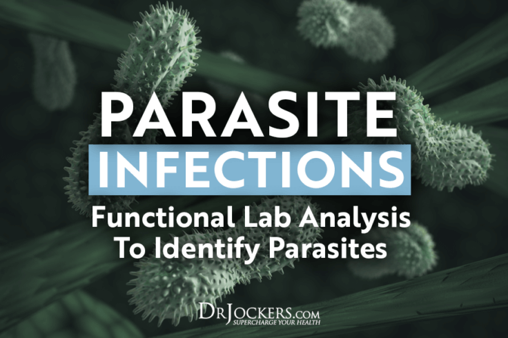 Parasite Infestation Lysols Effectiveness Exposed - 3aoolb4
