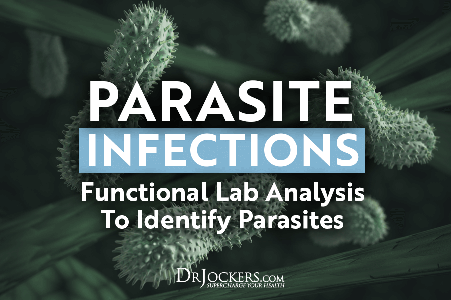 Parasite infections, Parasite Infections: Functional Lab Analysis To Identify Parasites