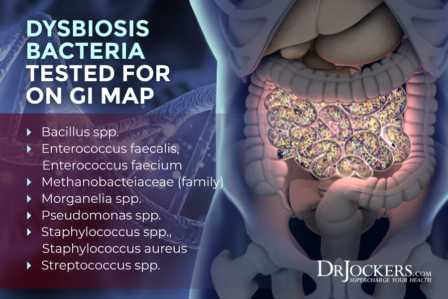 GI MAP