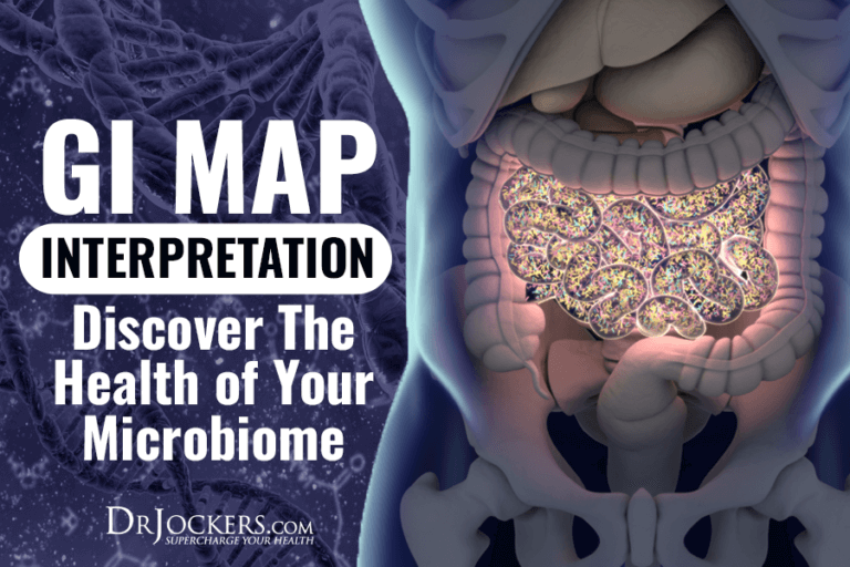 GI MAP Interpretation: Discover The Health of Your Microbiome