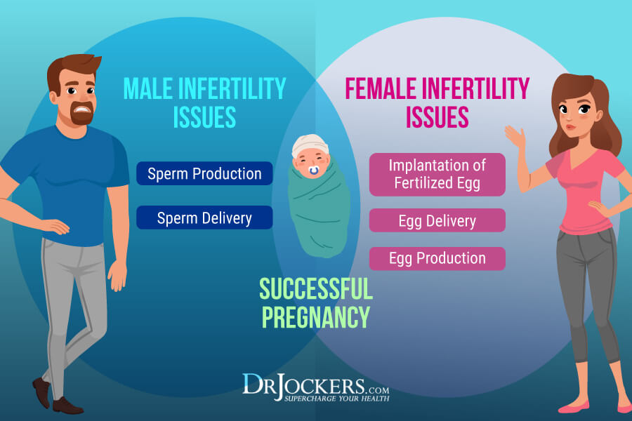 Infertility, Infertility: Root Causes, Labs, and Support Strategies