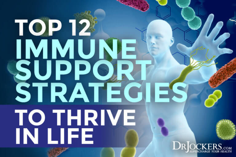 Top 12 Immune Support Strategies to Thrive in Life - DrJockers.com