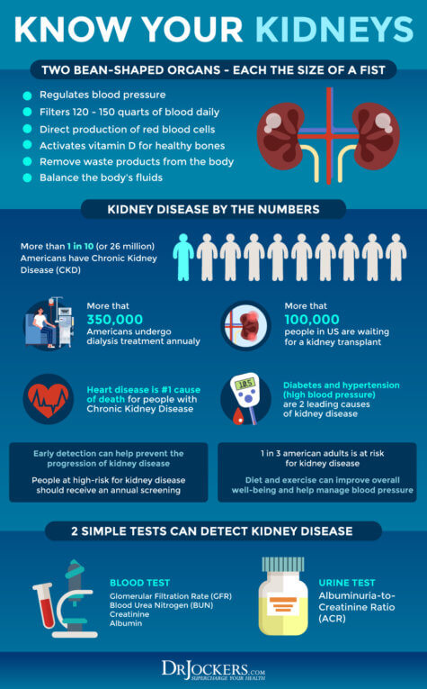 10-Day Kidney Cleanse For Better Energy & Skin Health - DrJockers.com