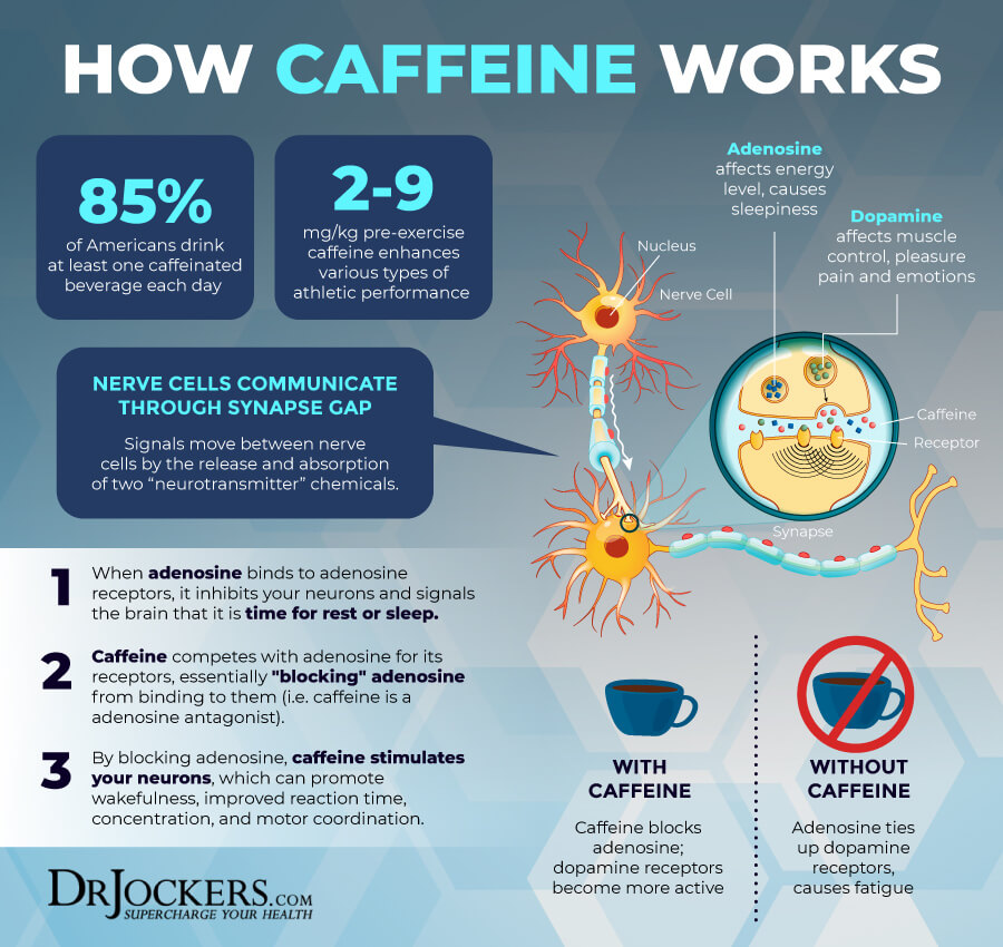 caffeine metabolizer