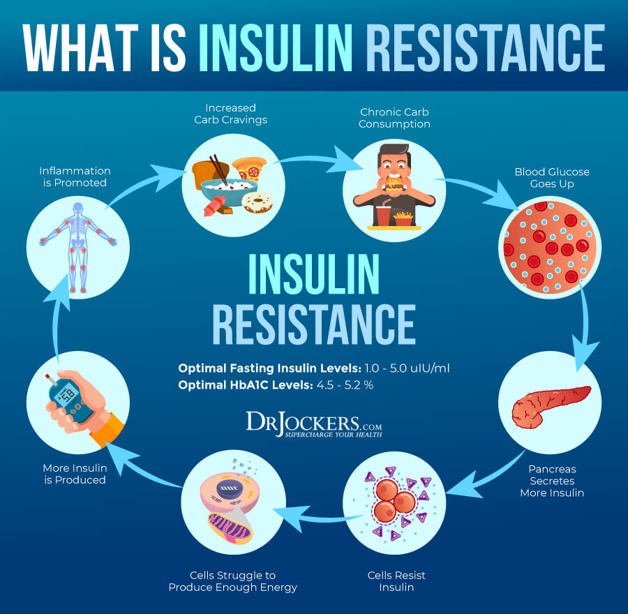 inflammatory, Top 12 Inflammatory Lab Markers and Optimal Ranges