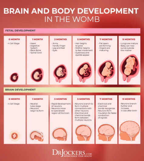 Pregnancy Diet: Nutrition Principles for Growing a Healthy Baby