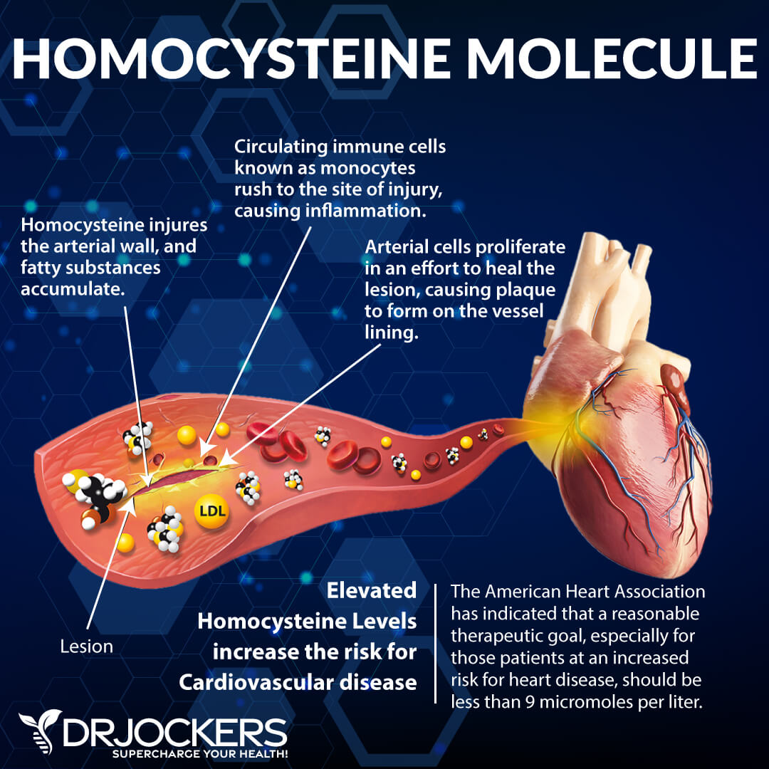 Blood Clotting: Symptoms, Causes and Support Strategies