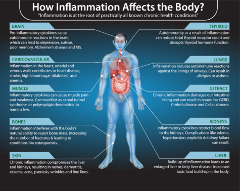 Top 12 Inflammatory Lab Markers and Optimal Ranges