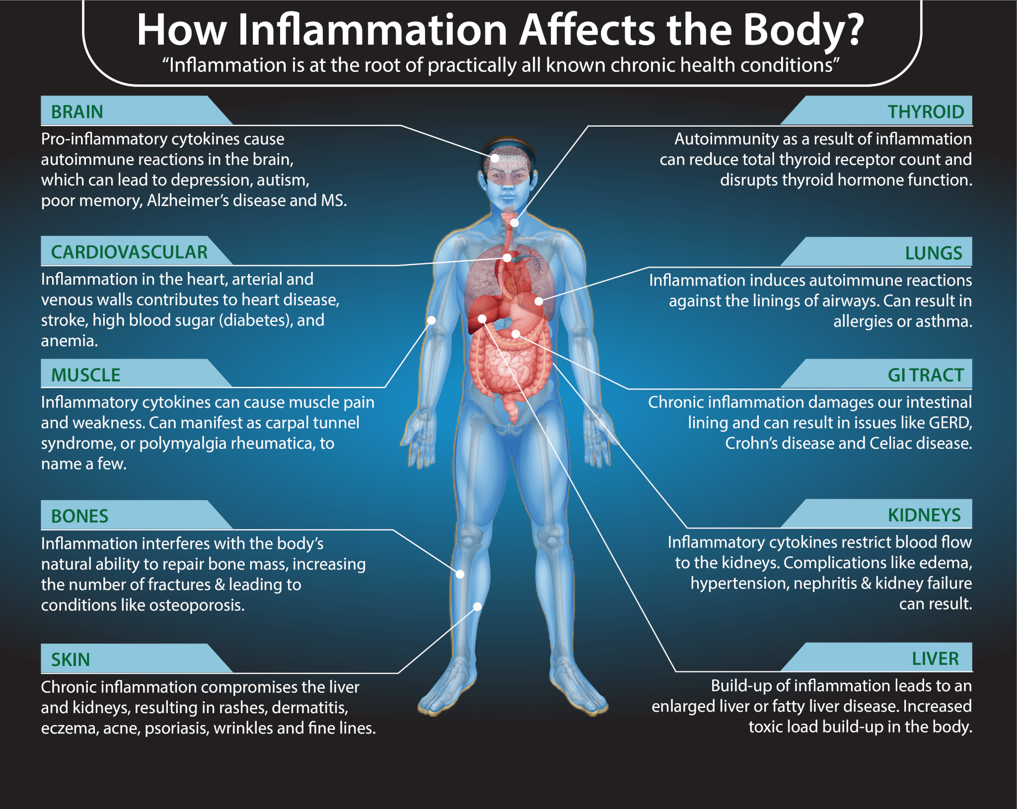 top-12-inflammatory-lab-markers-and-optimal-ranges