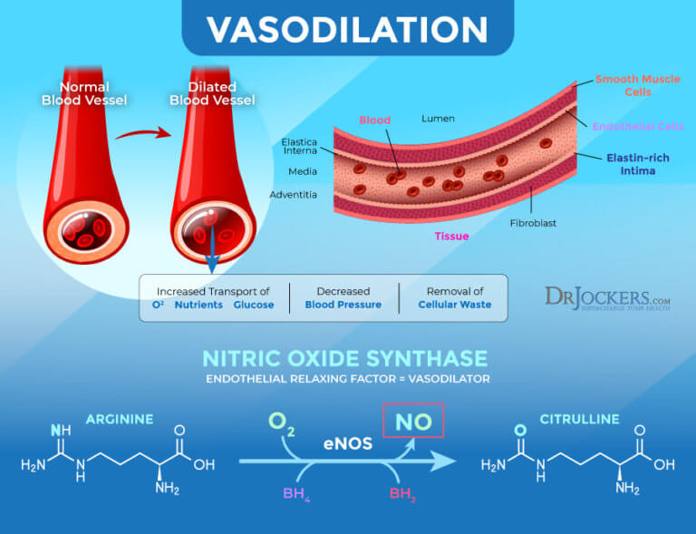 5 Reasons You May Have an Amino Acid Deficiency