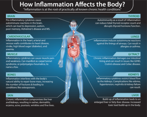 Healing Leaky Gut with Fasting and Liquid Nutrition - DrJockers.com