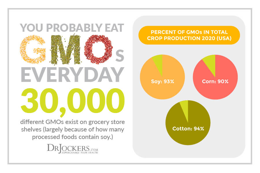 GMOs, 7 Simple Ways to Avoid GMOs