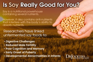 Is Soy A Healthy Food Or It Is Bad For You? - DrJockers.com