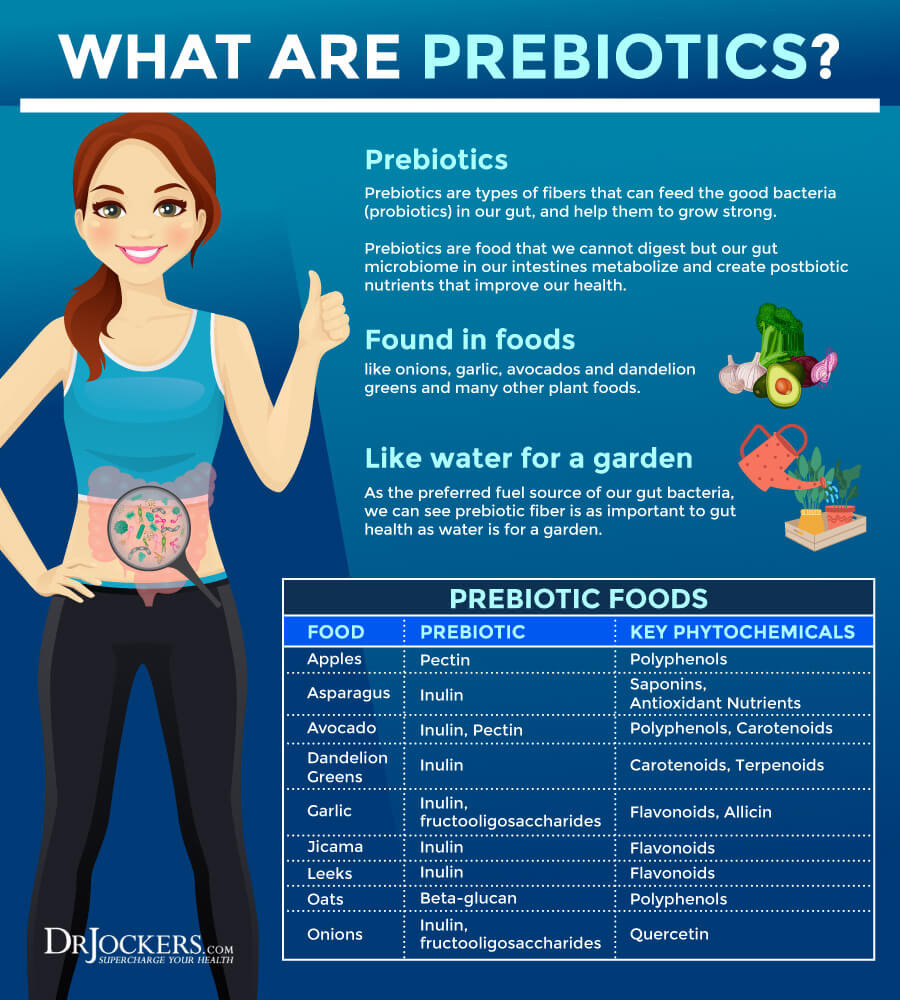 Prebiotic, The Top 33 Prebiotic Foods for Your Digestive System