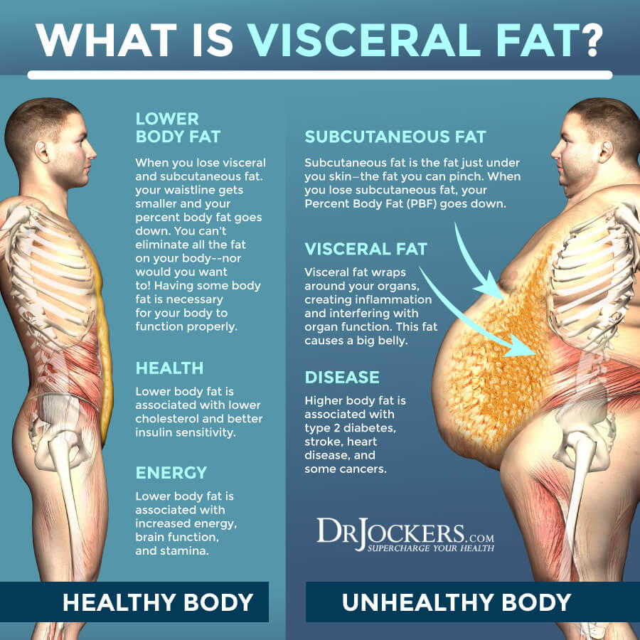 Visceral fat and high blood pressure