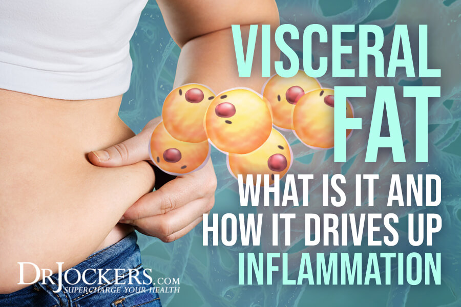 visceral fat, Visceral Fat: What is It and How it Drives Up Inflammation