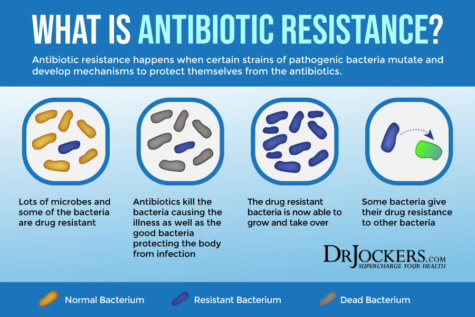 C Diff Infection: Risk Factors, Symptoms and Support Strategies