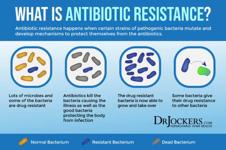 C Diff Infection: Risk Factors, Symptoms and Support Strategies