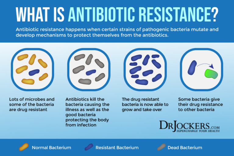 C Diff Infection Risk Factors Symptoms And Support Strategies   Antibiotics 768x512 