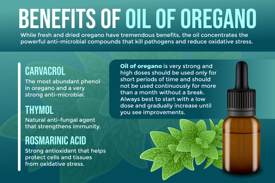 15 Health Benefits of Oregano Oil and How to Use It - Live Love Fruit