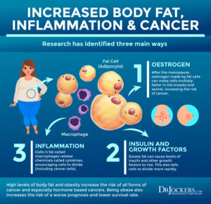 Visceral Fat: What is It and How it Drives Up Inflammation