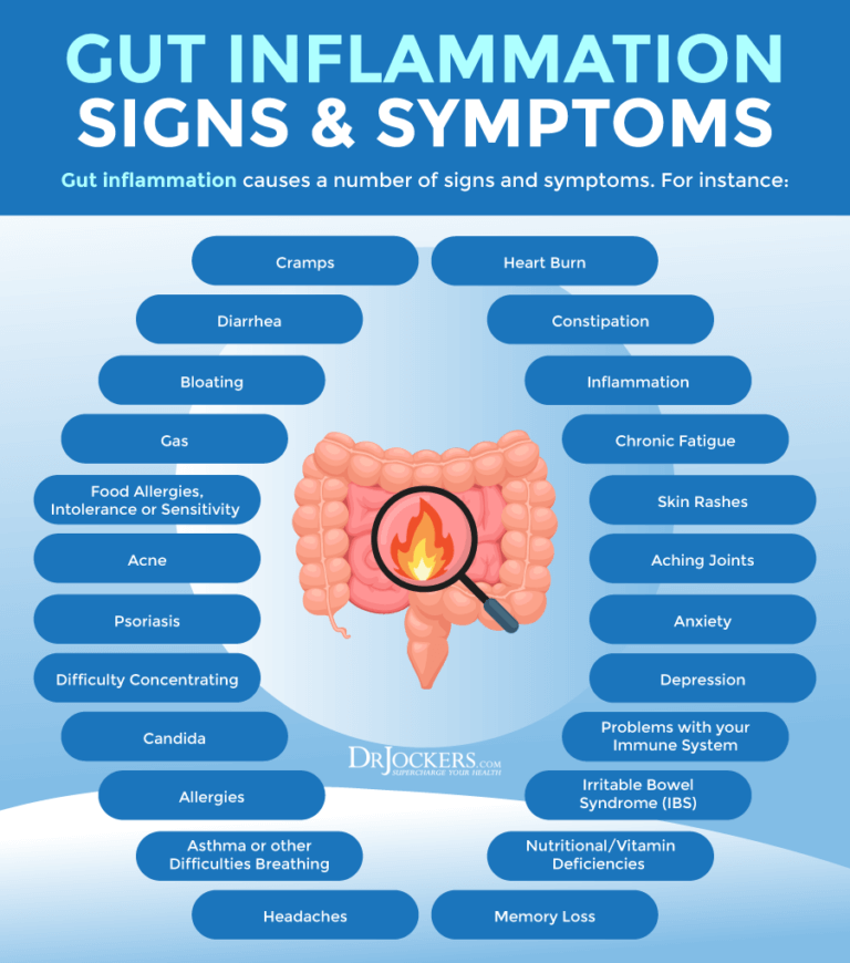 gut-inflammation-causes-testing-support-strategies