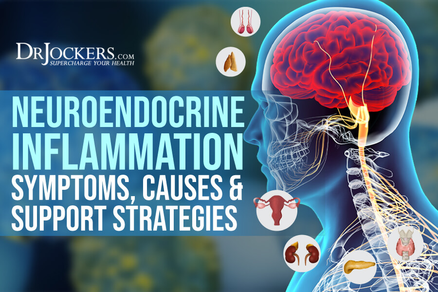 neuroendocrine, Neuroendocrine Inflammation: Symptoms, Causes, and Support Strategies