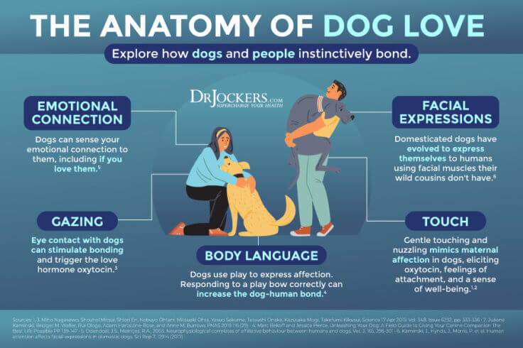 12 Ways to Optimize Oxytocin Levels for Mood & Happiness