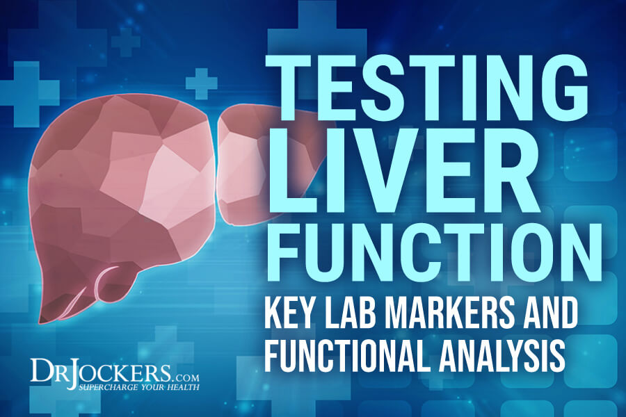 liver function, Testing Liver Function: Key Lab Markers and Functional Analysis 
