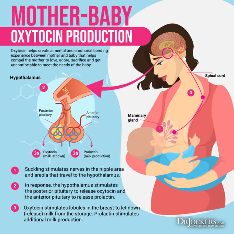 12 Ways to Optimize Oxytocin Levels for Mood & Happiness