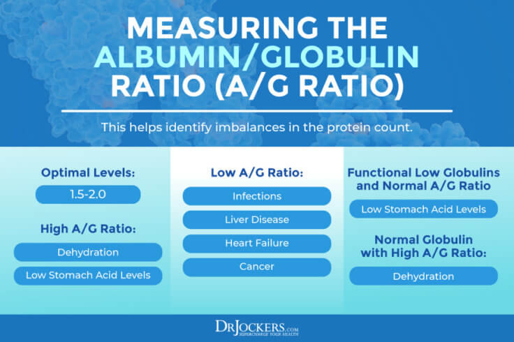 functional-blood-analysis-and-optimal-ranges-drjockers