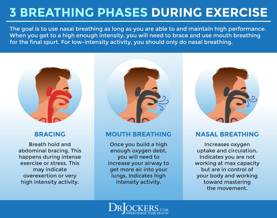 nasal, Nasal Breathing:  Benefits and How to Do It Properly