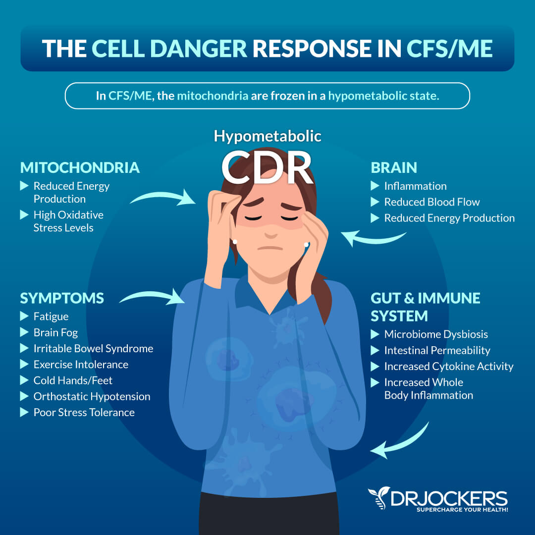 cell danger response
