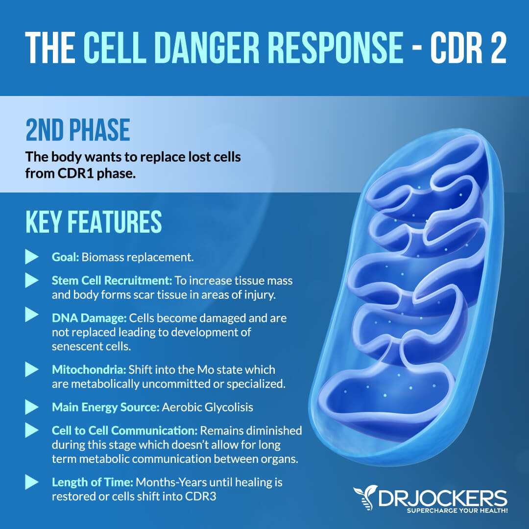 cell danger response