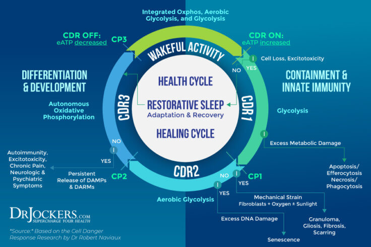 The Cell Danger Response: New Theory For Chronic Illnesses