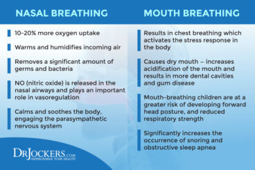 Nasal Breathing: Benefits and How to Do It Properly