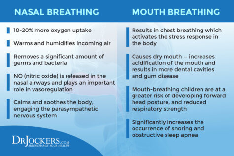 Nasal Breathing: Benefits And How To Do It Properly