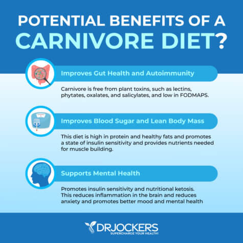 Carnivore Diet: Possible Benefits, Problems and How to Do It Right