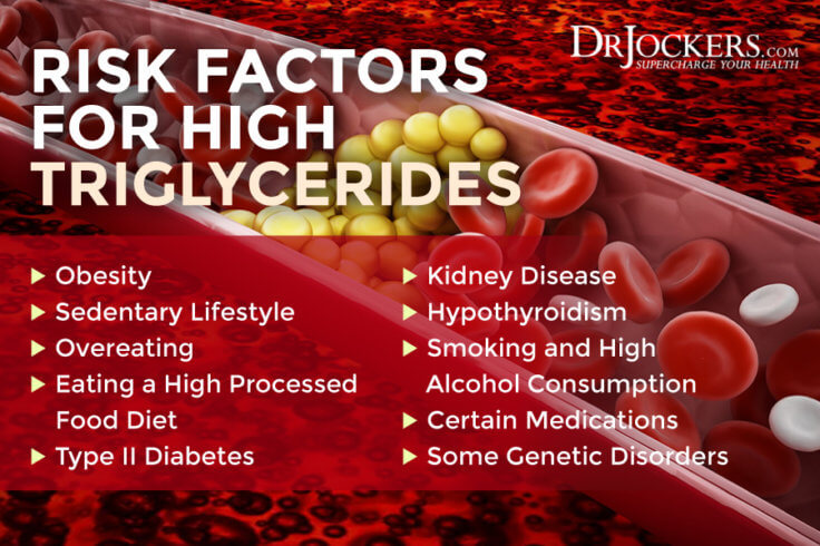 High Triglycerides: Root Causes and Natural Support Strategies