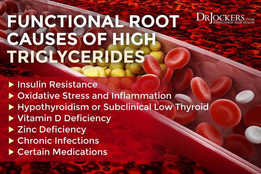 triglycerides, High Triglycerides: Root Causes and Natural Support Strategies