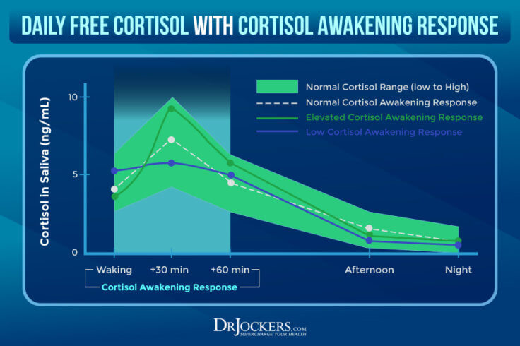 DUTCH Test: Analyzing Hormone Levels for Optimal Health