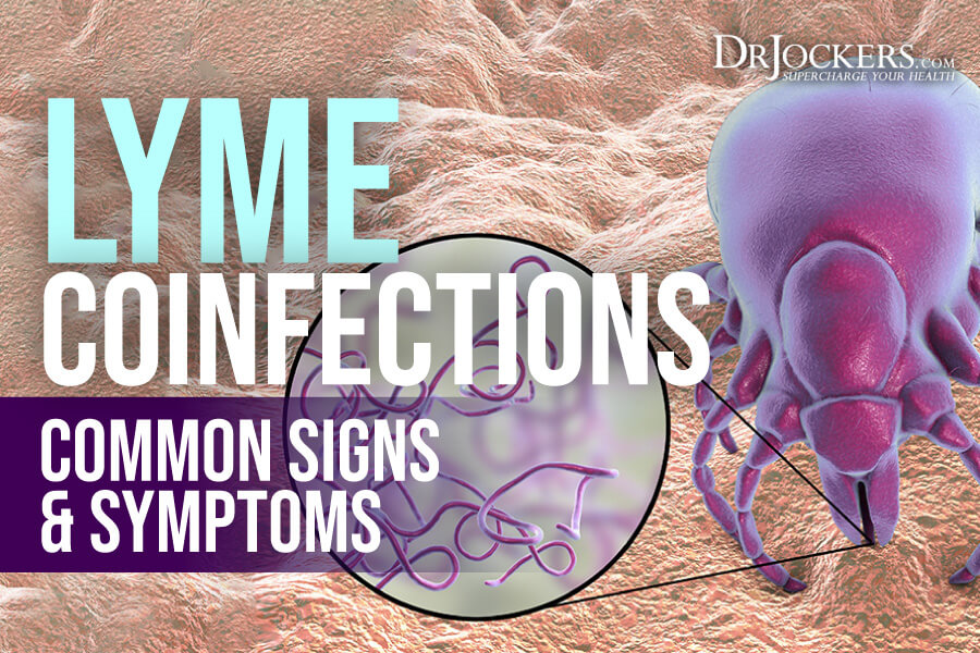 Lyme Coinfections, Lyme Coinfections: Common Signs &#038; Symptoms  
