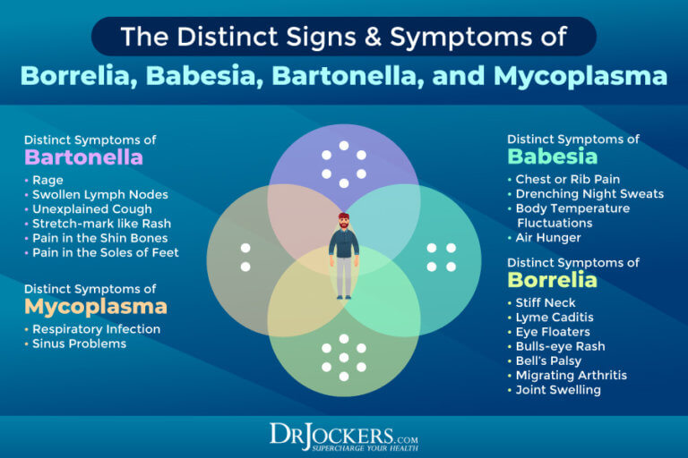 Lyme Coinfections Common Signs & Symptoms