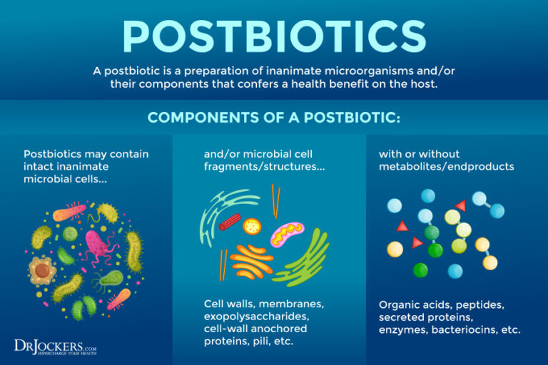 Postbiotics Best Sources for Gut Health and Inflammation Levels
