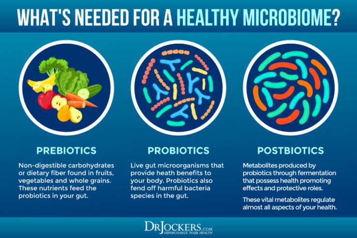 Postbiotics: Best Sources For Gut Health And Inflammation Levels