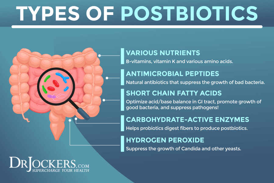 Postbiotics: Best Sources For Gut Health And Inflammation Levels